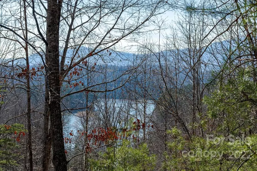 Lot 2 Highland View LN, Mill Spring, NC 28756