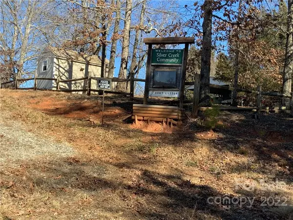 00 Bradley Turn #41, Mill Spring, NC 28756