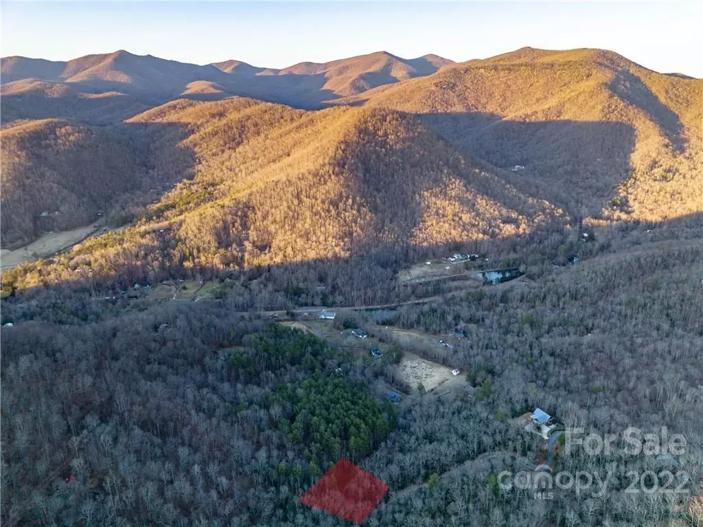 Swannanoa, NC 28778,00 Watch Knob LN