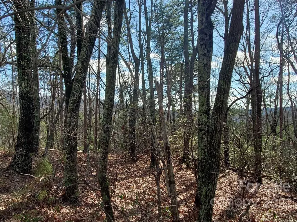 Saluda, NC 28773,Lot 86 Volley WAY