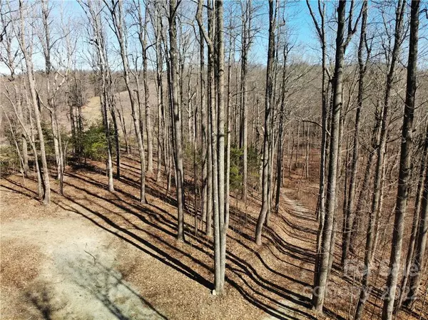 Zirconia, NC 28790,00 Mcalpine Mountain RD