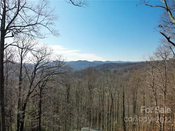 Zirconia, NC 28790,00 Mcalpine Mountain RD