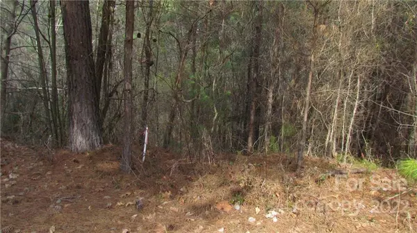 Taylorsville, NC 28681,Beside 52 Moser CIR #27