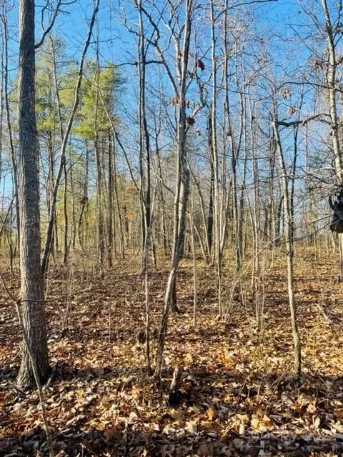 Vale, NC 28168,3774 Rhoney Farm RD