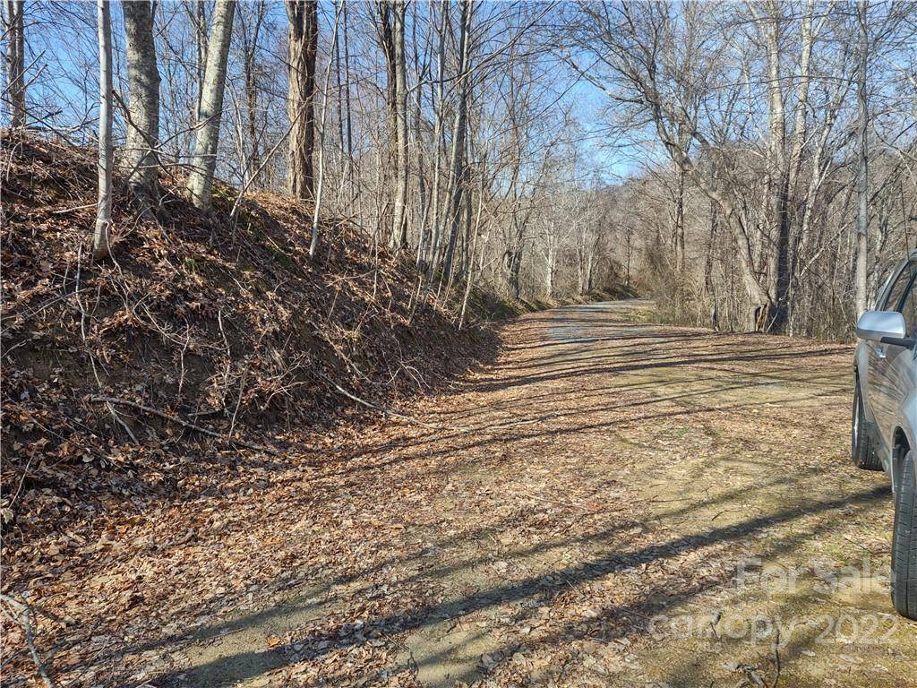Clyde, NC 28721,Lot 22 Griska DR