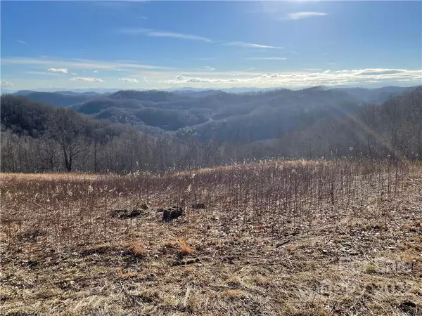 Mars Hill, NC 28754,99999 Brothers LN