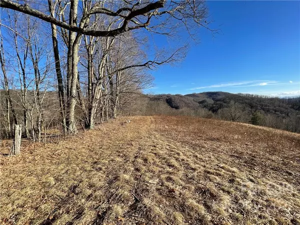 Mars Hill, NC 28754,99999 Brothers LN