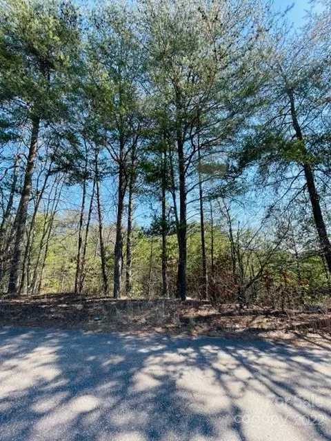 Connelly Springs, NC 28612,0 Fox Ridge DR