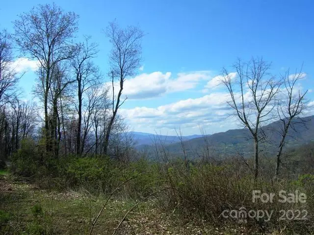 Waynesville, NC 28786,Lot #23 Gap RD