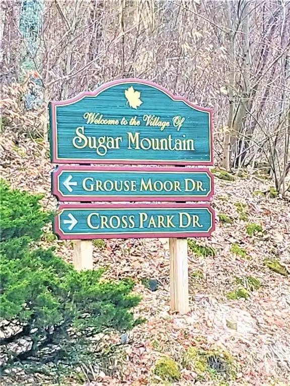 Sugar Mountain, NC 28604,0 Shelter Rock CIR #167