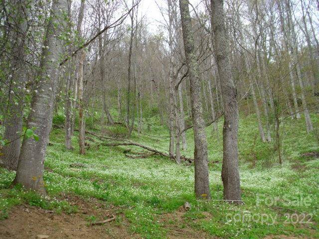0 Lakewood DR #A,  B,  C,  D,  Bakersville,  NC 28705