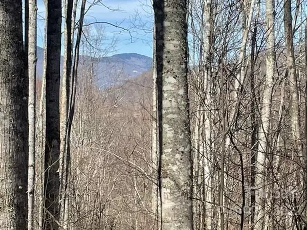Sylva, NC 28779,1335 E Clubhouse RD #71