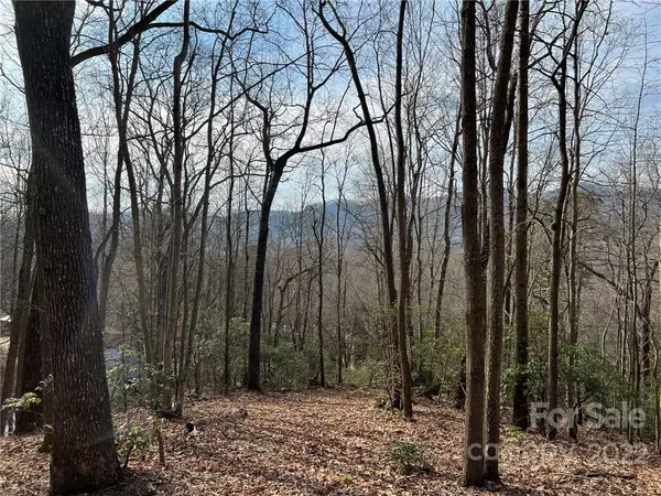 Arden, NC 28704,999 Sleepy Gap RD #6