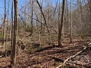 Saluda, NC 28773,(42 ACRES) Green River Cove RD