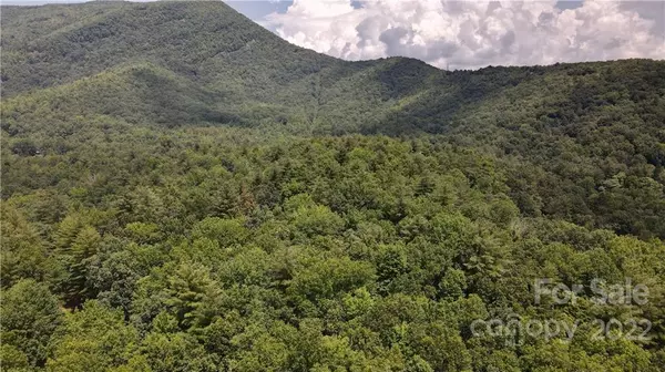 Sapphire, NC 28774,0000 Rocky Ridge RD #52 B