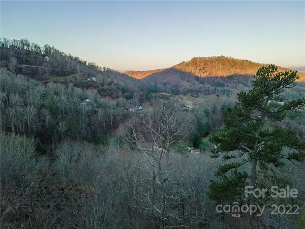 Weaverville, NC 28787,919 Cove Creek LN #154