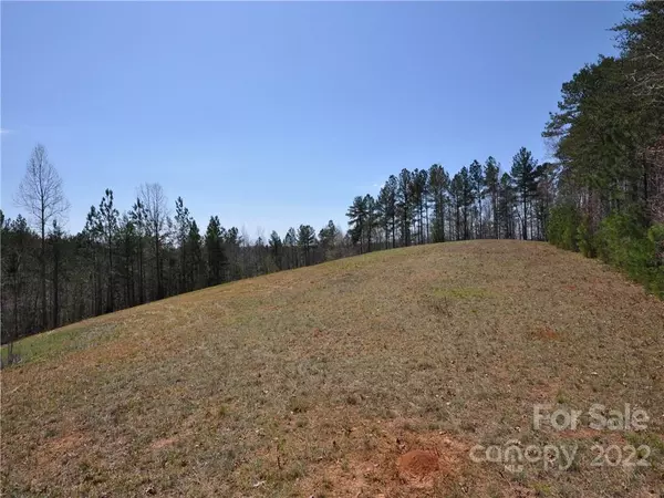 Rutherfordton, NC 28139,99999 Overmountain TRL #4, 6, plus