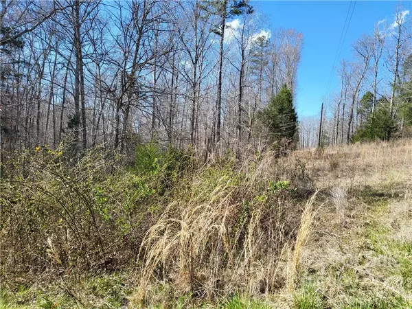 Smyrna, SC 29743,406 Nimitz RD