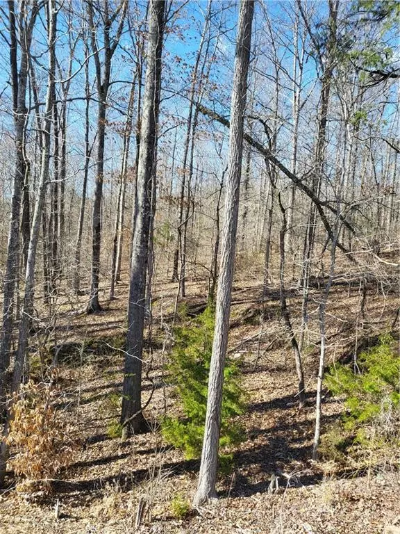 Smyrna, SC 29743,406 Nimitz RD