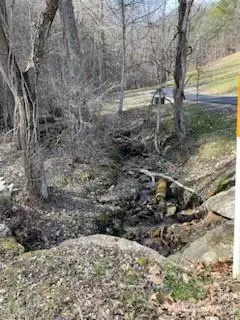 Mars Hill, NC 28754,00 Running Deer NW Running Deer LN #65