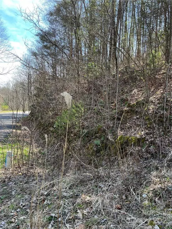 Mars Hill, NC 28754,00 Running Deer NW Running Deer LN #65