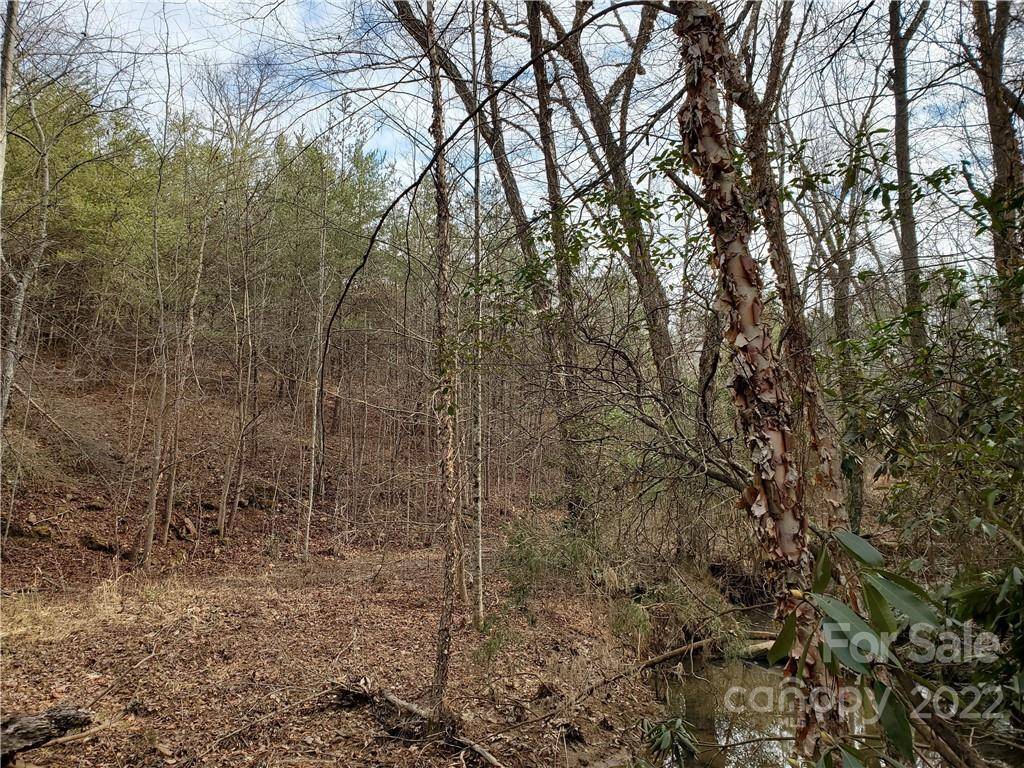 Hudson, NC 28638,0 Lefevers LN
