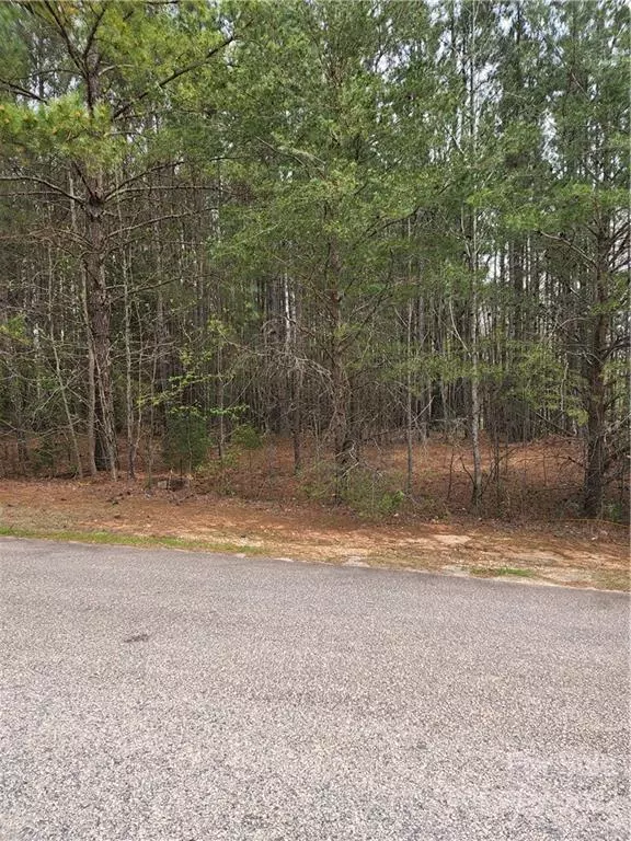 Clover, SC 29710,1215 Canvasback Duck DR #35