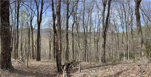 Fairview, NC 28730,99999 Nesbitt Chapel RD