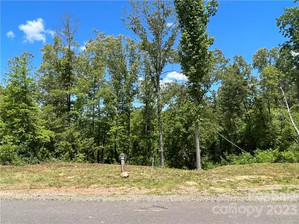 Cullowhee, NC 28723,00 River Club DR #66
