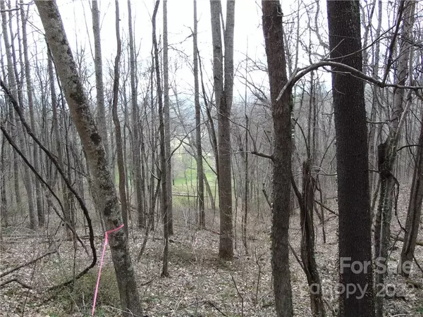 Weaverville, NC 28787,99999 Herron Cove RD