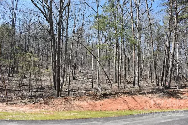 Gastonia, NC 28056,302 Spanish Oak LN #76