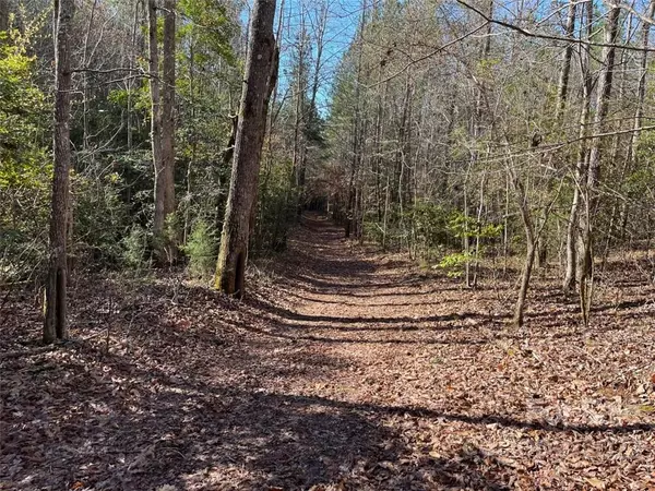 Tryon, NC 28782,999 Coxe RD #3