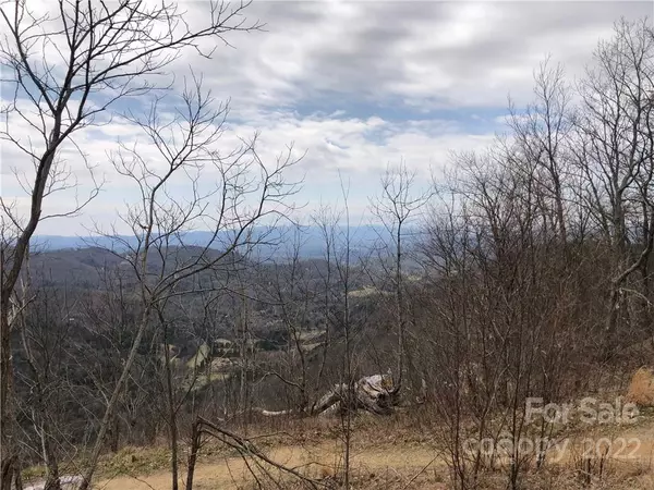 Asheville, NC 28804,0000 Elk Mountain Scenic HWY