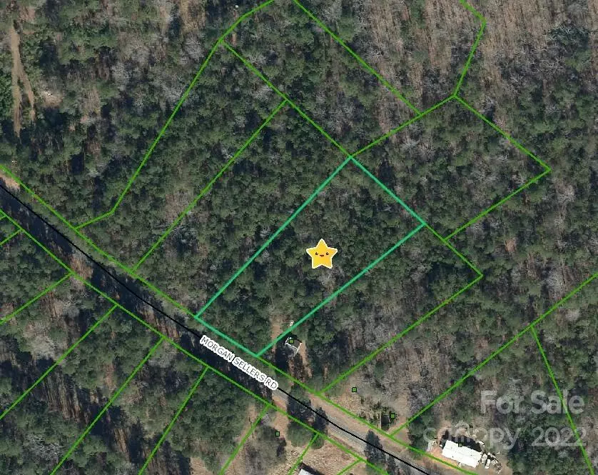 Wadesboro, NC 28170,1646 Morgan Sellers RD