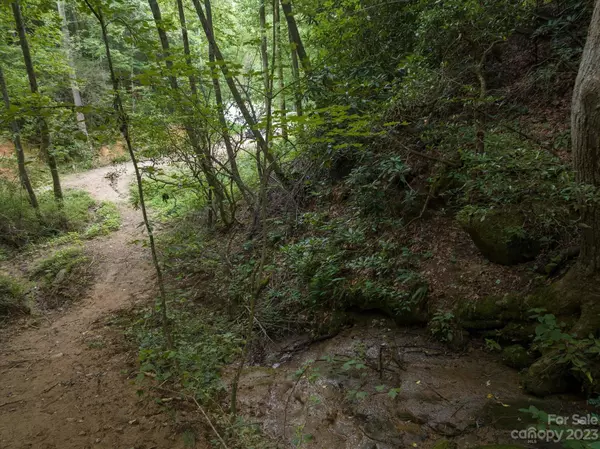 Flat Rock, NC 28731,0 Big Hungry RD