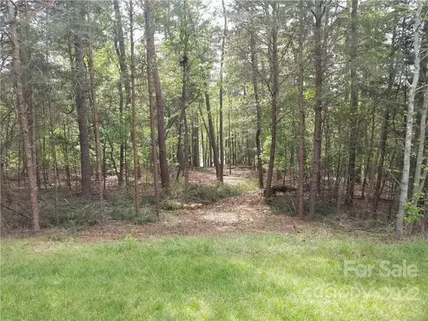 Badin Lake, NC 28127,157 Kingfisher CT #20