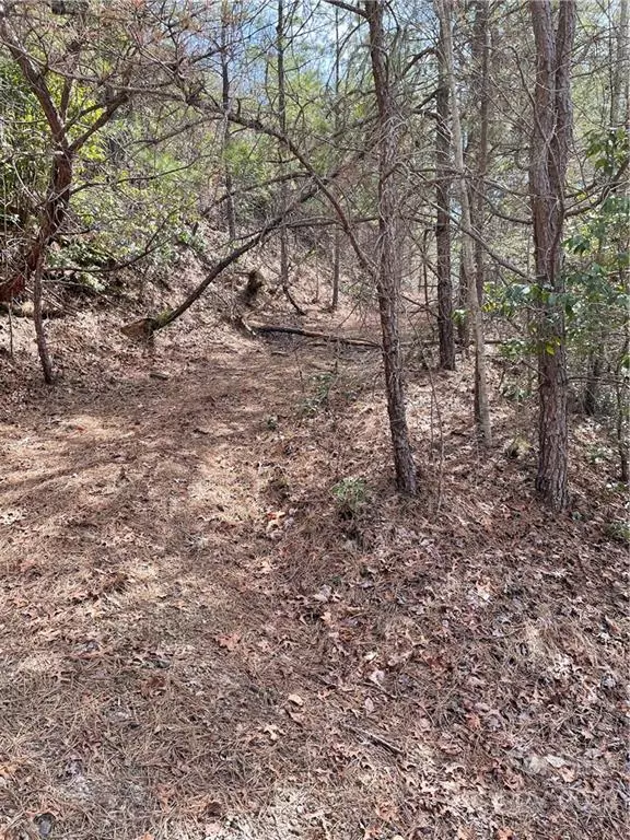 Sylva, NC 28779,822 Quest RDG #84