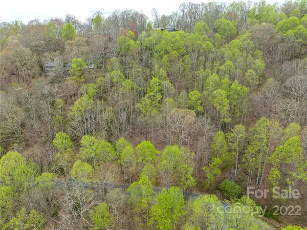 Mills River, NC 28759,Lot 117 Honey Locust DR #117