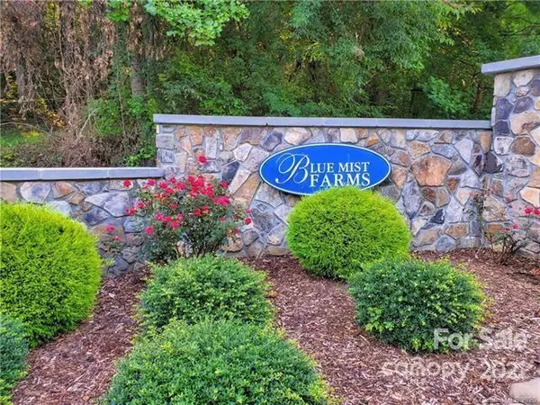 11 Early Spring WAY #59, Leicester, NC 28748