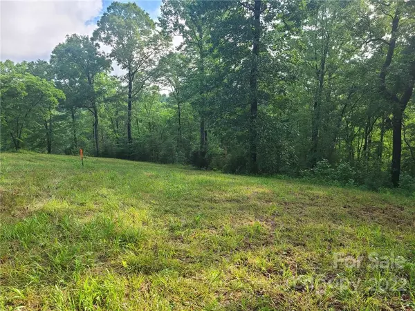 Rutherfordton, NC 28139,00 Polk County Line RD