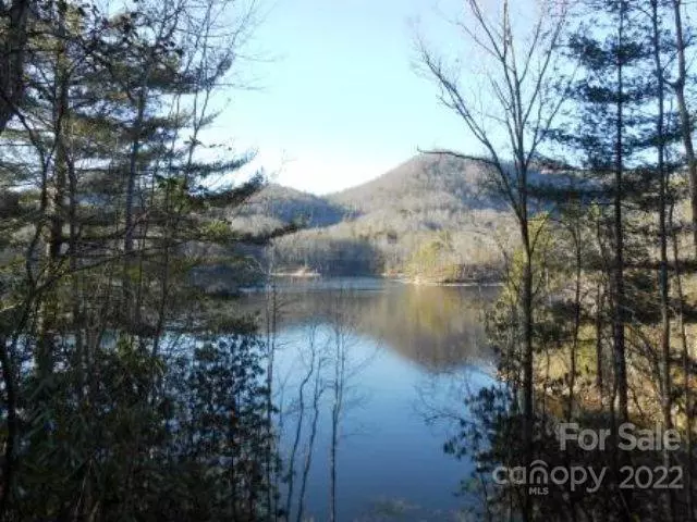 Tuckasegee, NC 28783,155 Mandolin CT #155