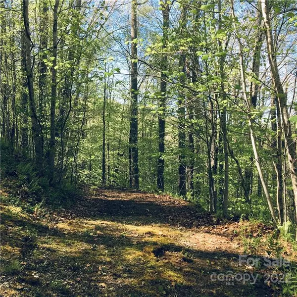 Mars Hill, NC 28754,99 &57 Fern Hill DR