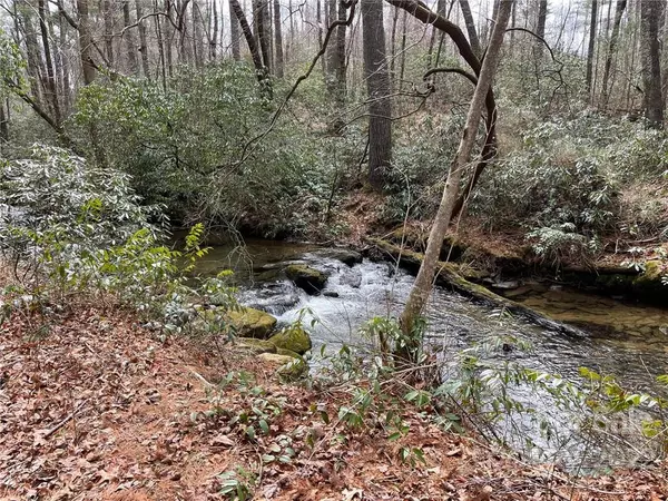 Flat Rock, NC 28731,TBD W Blue Ridge RD #C