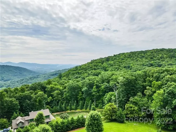 Arden, NC 28704,172 Pisgah Forest TRL #Lot 20