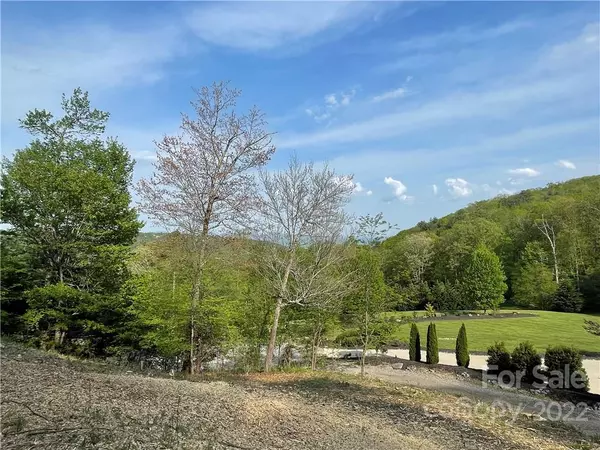 Arden, NC 28704,172 Pisgah Forest TRL #Lot 20