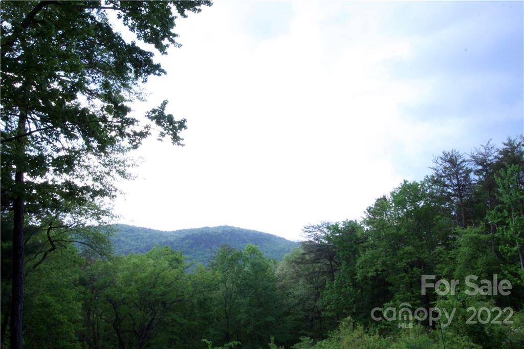 Lot 38 Round Mountain RD #38, Brevard, NC 28712