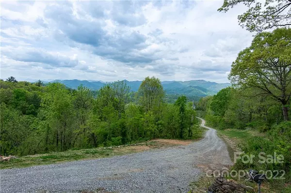 Marshall, NC 28753,801 Freedom Cove DR