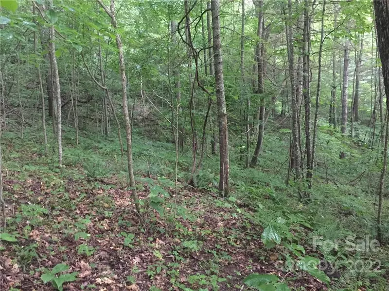 0 Ike Woods RD, Bakersville, NC 28705