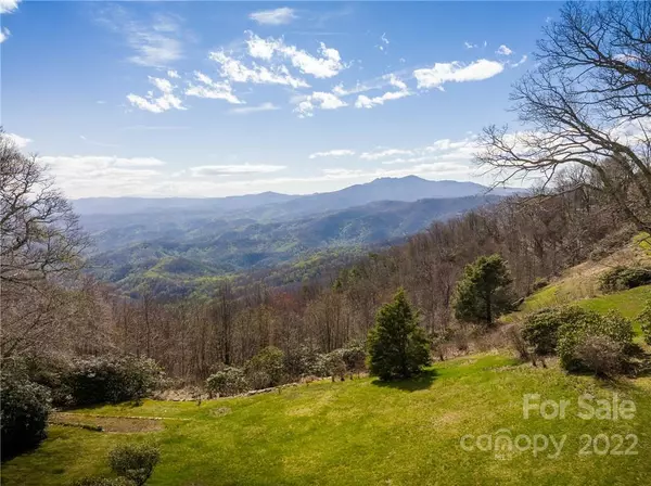 Blowing Rock, NC 28605,460 Pinnacle AVE