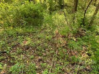 Hendersonville, NC 28739,3 LOTS COUNTRY CLUB ROW #A,B,C